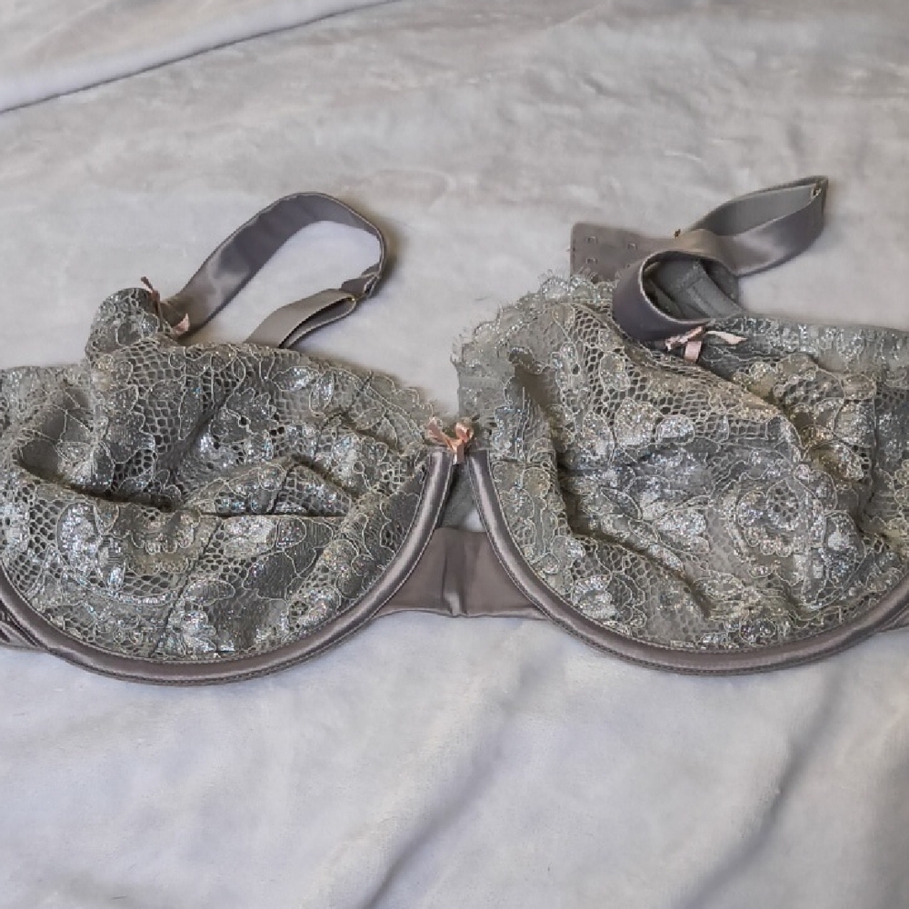 Sparkly Silvery Gray Lace Bra